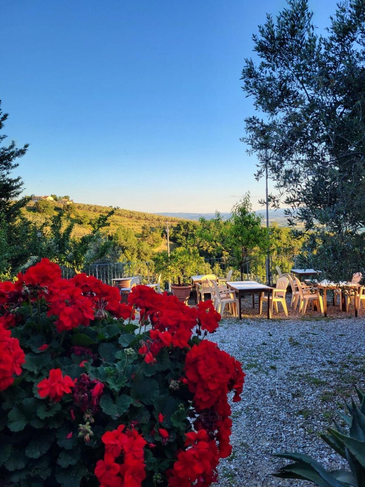 Agriturismo La Gioconda Vinci Exterior foto